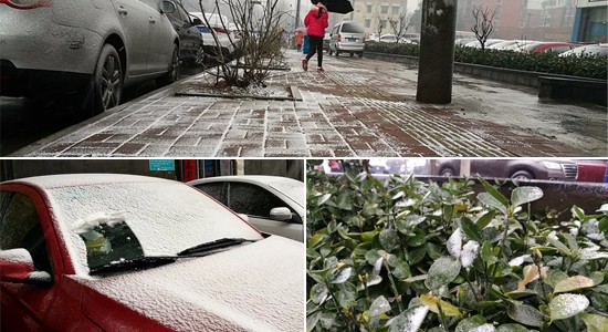 合肥今晨迎来2017年首场降雪