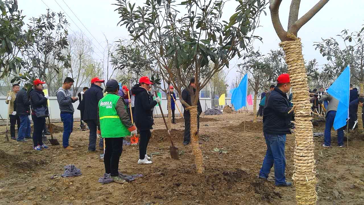 矫正人员“除草护树，显真情”集中社区服务活动