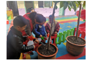 【阳光公益·肥西站】“3月12日植树节”系列活动